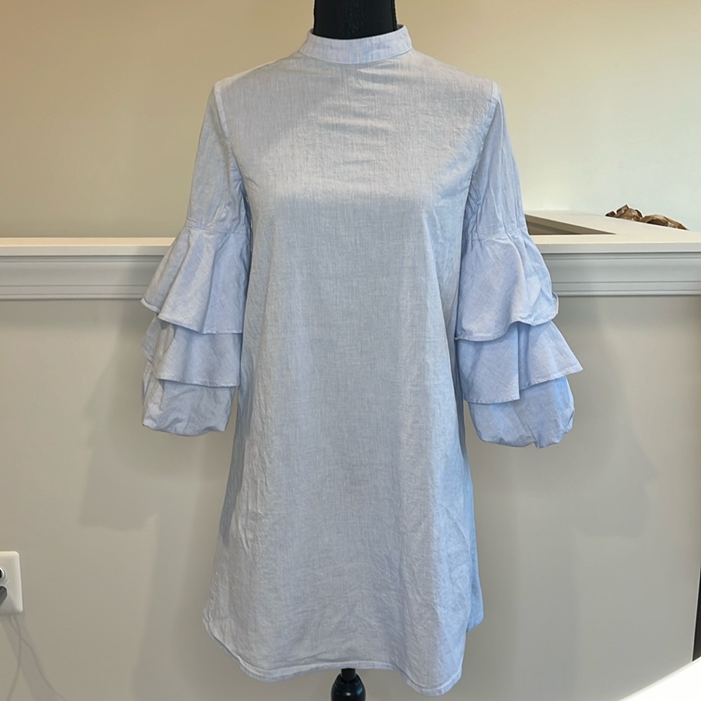 Zara ruffle sleeve dress